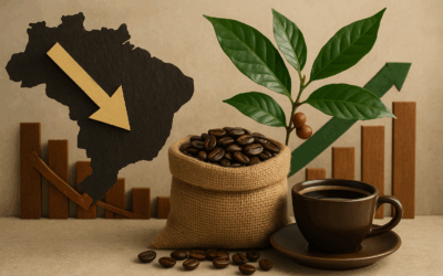 Exportar menos e faturar mais: o novo paradoxo do café brasileiro