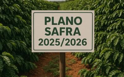 Plano Safra, juros altos e crédito amarrado: o produtor está pagando a conta