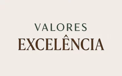 Excelência não é perfeccionismo, é responsabilidade