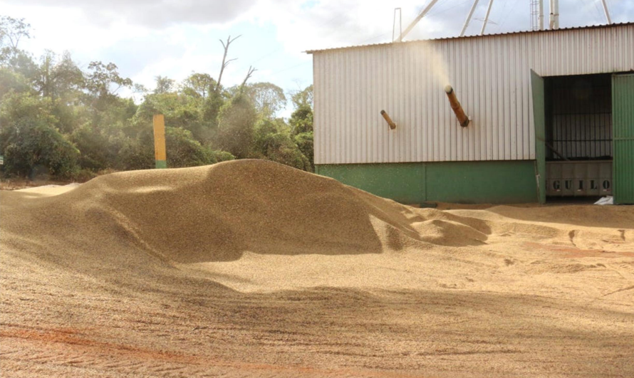 From Bean to Balance: How Culttivo Is Changing Coffee Financing in Brazil